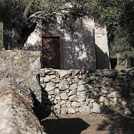 Aparthotel Residenza L 'Alivetu Cargèse Exteriér fotografie