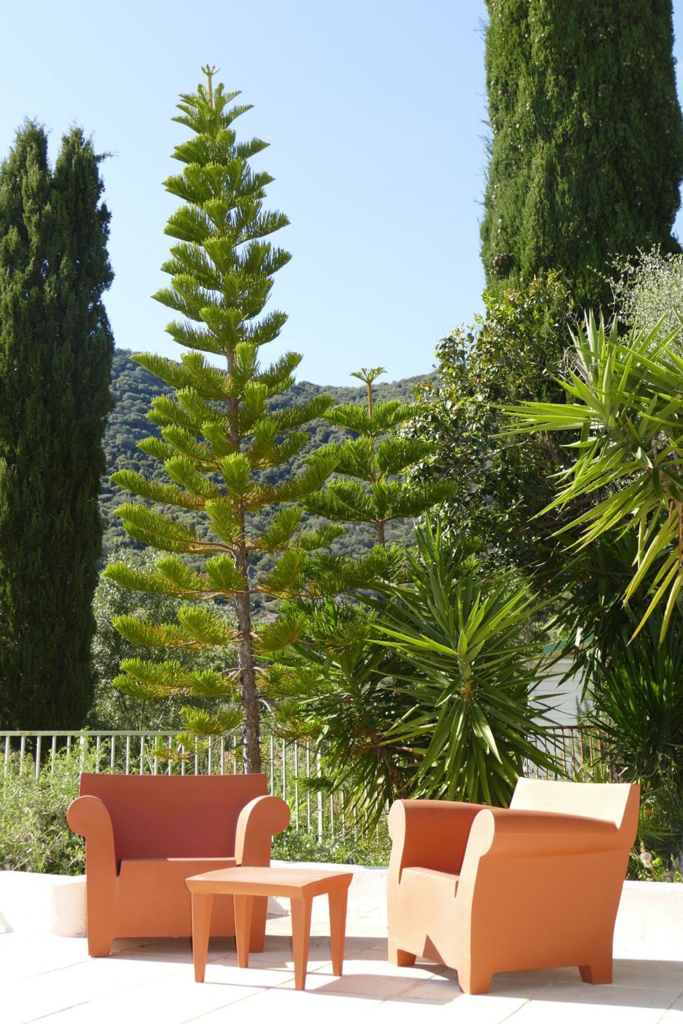 Aparthotel Residenza L 'Alivetu Cargèse Exteriér fotografie